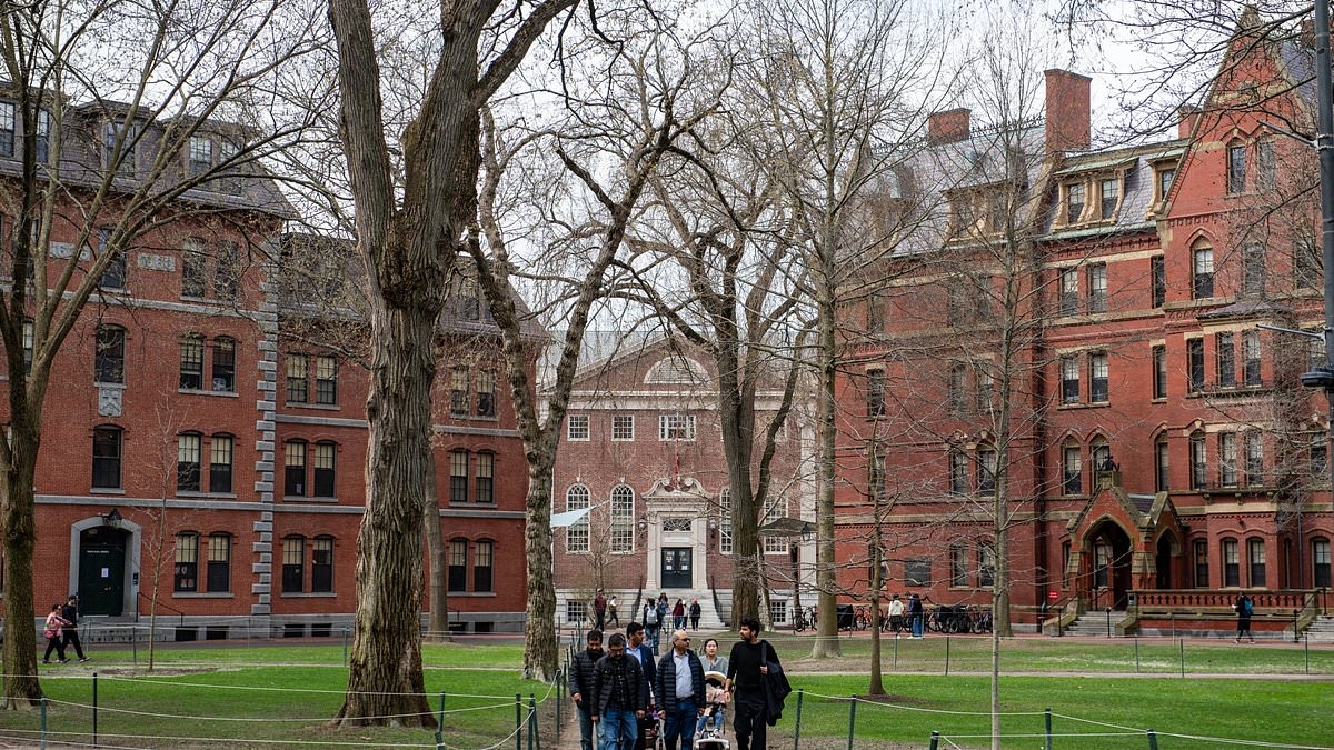 Harvard suffers another blow as country's top law journal moves into the spotlight after damning exposé
