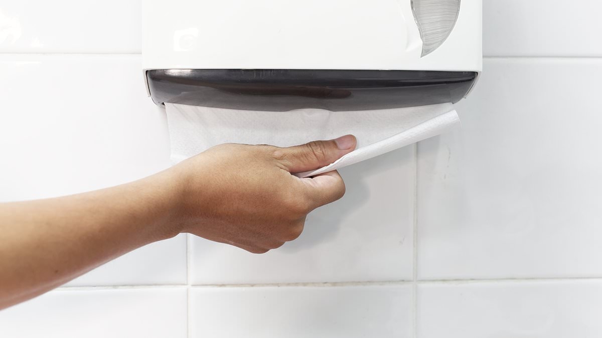 The real reason why toilet roll dispensers in public bathrooms have to be locked - as warning is issued to 'always check tissue'