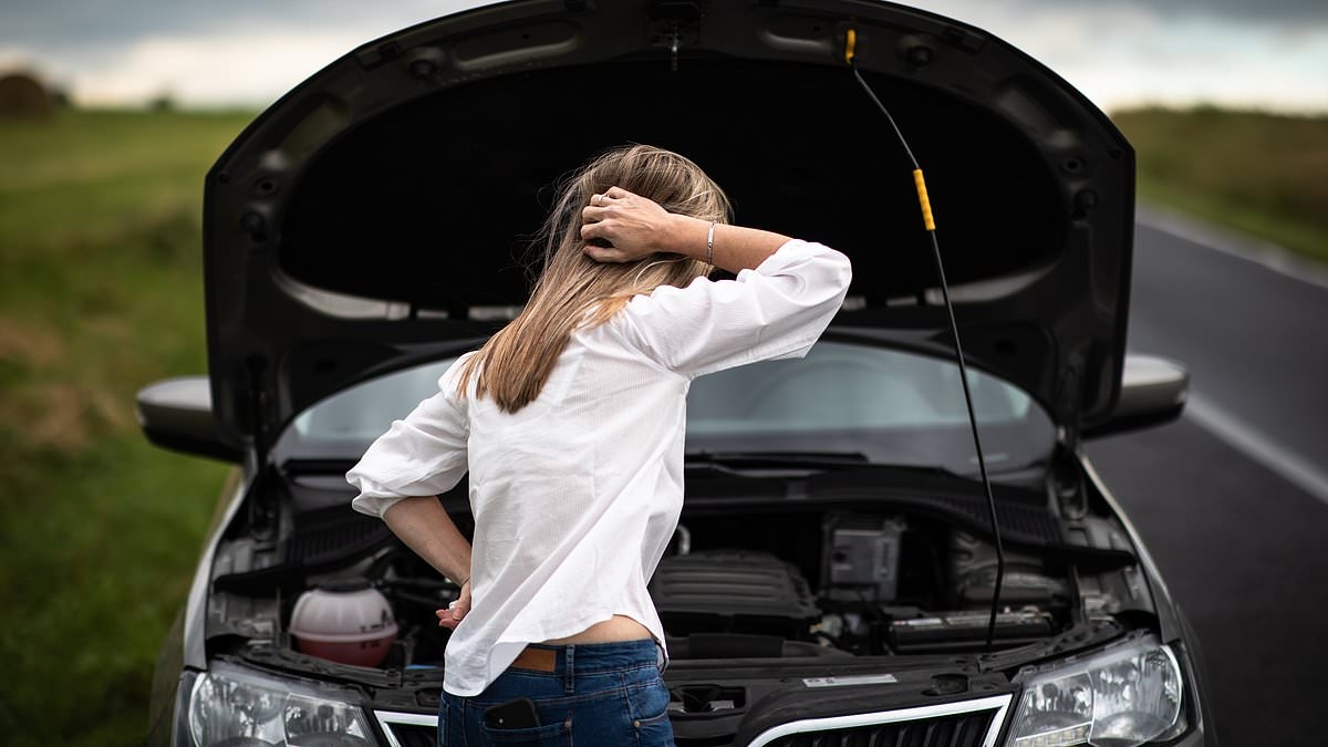 Two best-selling US cars receive urgent 'engine failure' recall