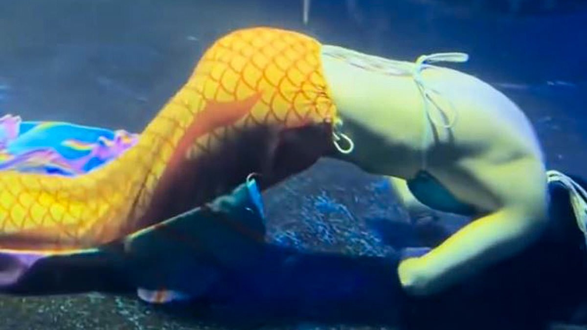 Horrifying moment 'mermaid' passes out underwater during performance in aquarium tank before being rescued at the last minute