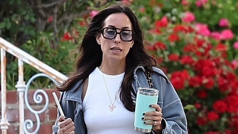 Brad Pitt's girlfriend Ines De Ramon goes bra free out in LA after it was revealed why they won't get married