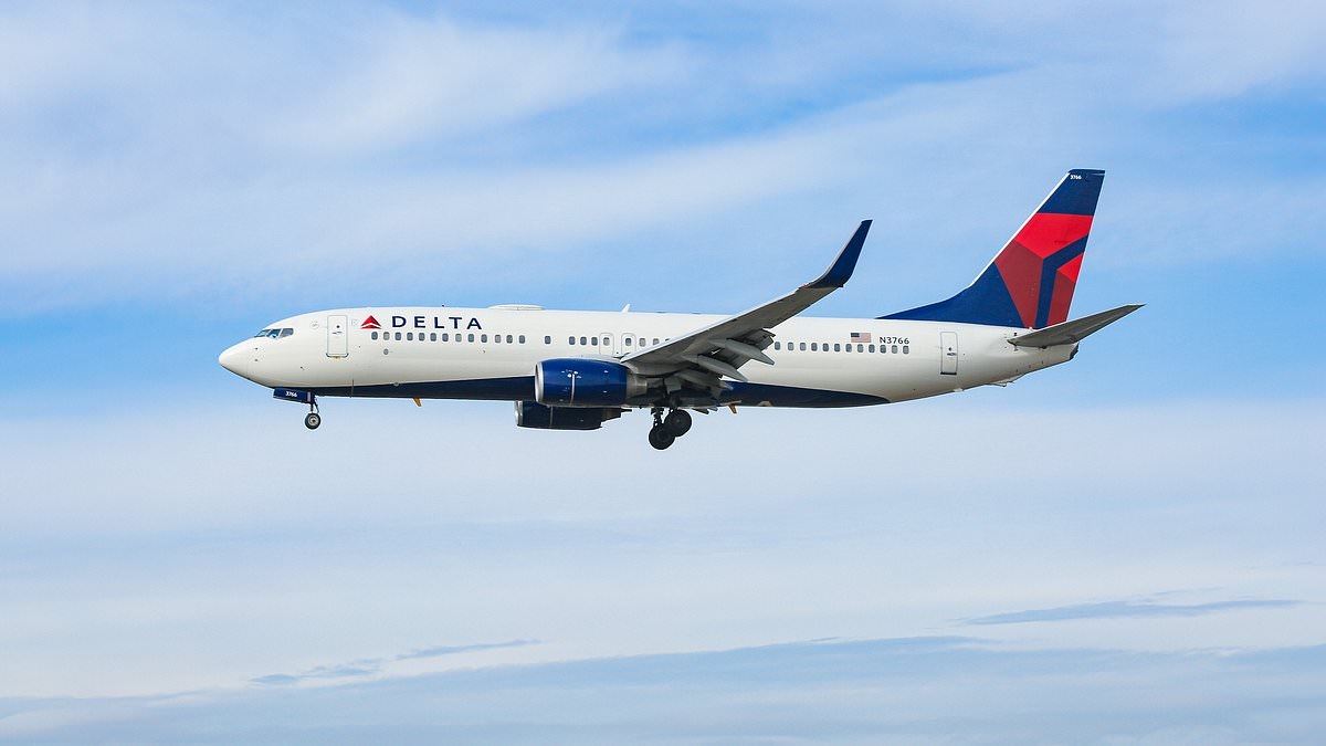 Terrifying sound that filled Delta plane cabin as jet was forced to abort landing with seconds to spare