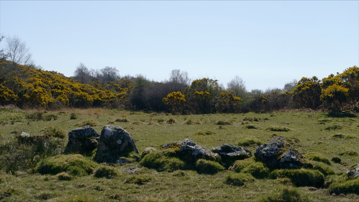 World's oldest pitch proves football was born in SCOTLAND - and not England, expert claims