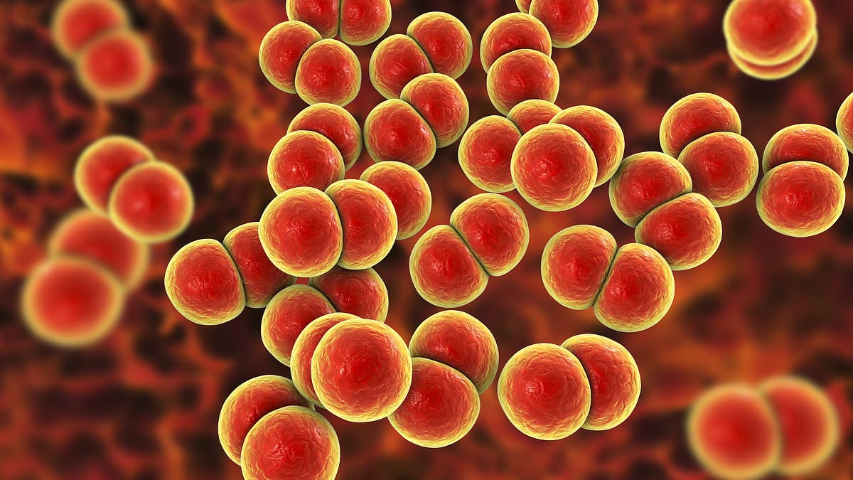Alert over flu-like disease that kills in ONE DAY landing on UK shores...get jabbed, experts urge