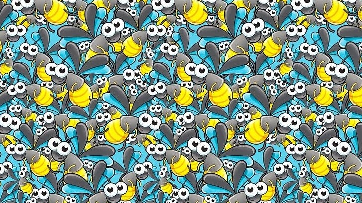 Mind-boggling optical illusion has an ant hidden among the bees... can you find it in under 10 seconds?