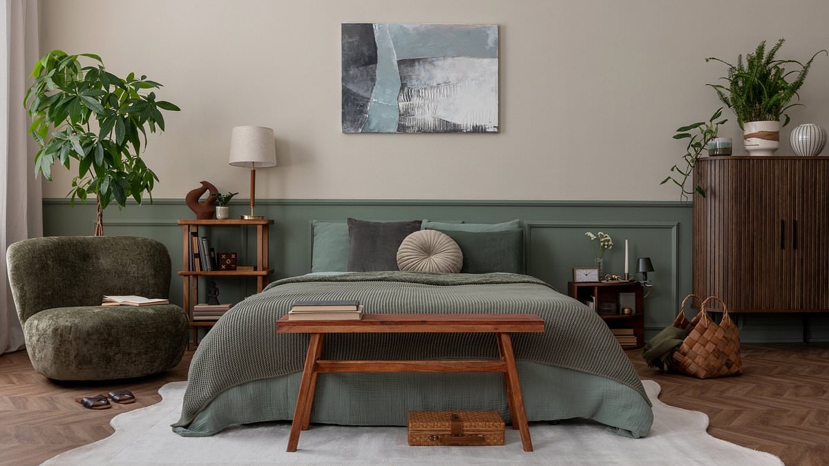 Millennials attacked by Gen Z for new color obsession compared to 'sad beige'