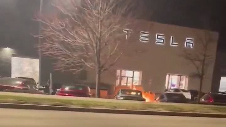 Tesla 'arsonist who torched dealership' is freed from federal custody for outrageously-woke reason