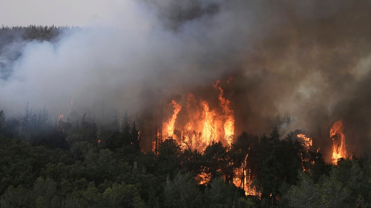 Israel declares state of emergency with wildfires raging