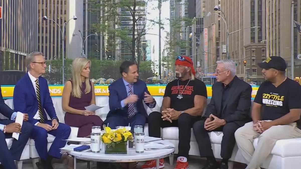 Hulk Hogan or Wooly Willy? Fans bemused by wrestler's odd look