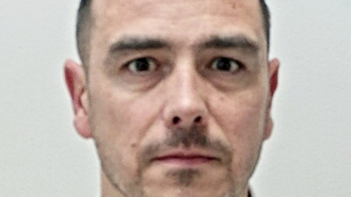 Drunk Jaguar driver who mowed down woman tourist on Blackpool tram tracks after spending all afternoon in pub is jailed for three years