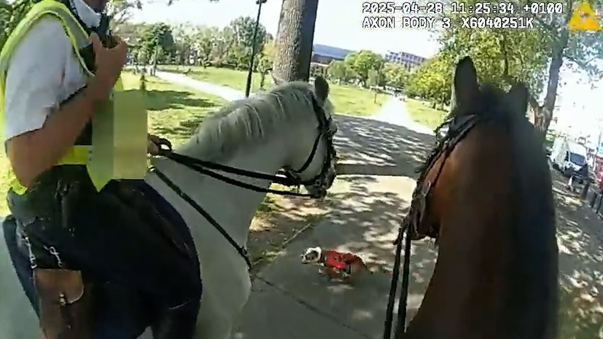 Moment police patrol horses are attacked by out-of-control dog in park