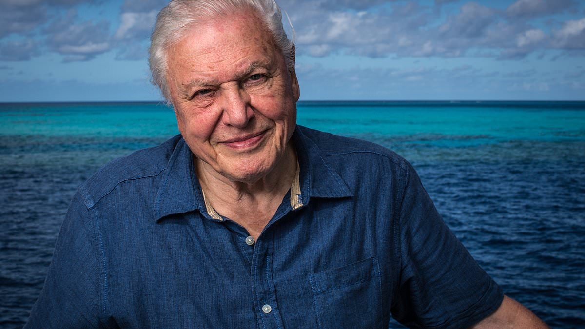 The one food Sir David Attenborough cut out which could help him 'live past 100' - after admitting he is 'nearing the end of his life' in powerful statement