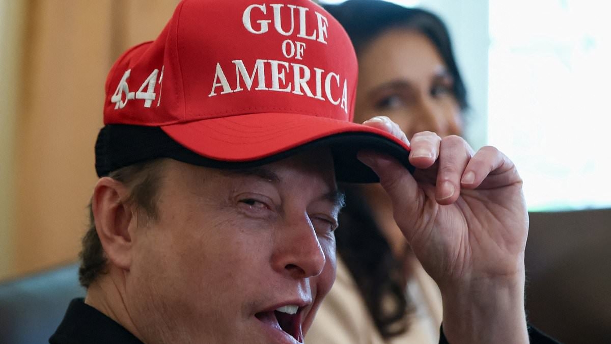 Elon Musk reflects on his 100 days in government service