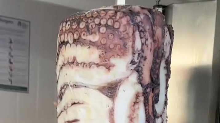 London restaurant divides the internet by serving a one-of-a-kind octopus kebab - as people say it should be 'illegal'