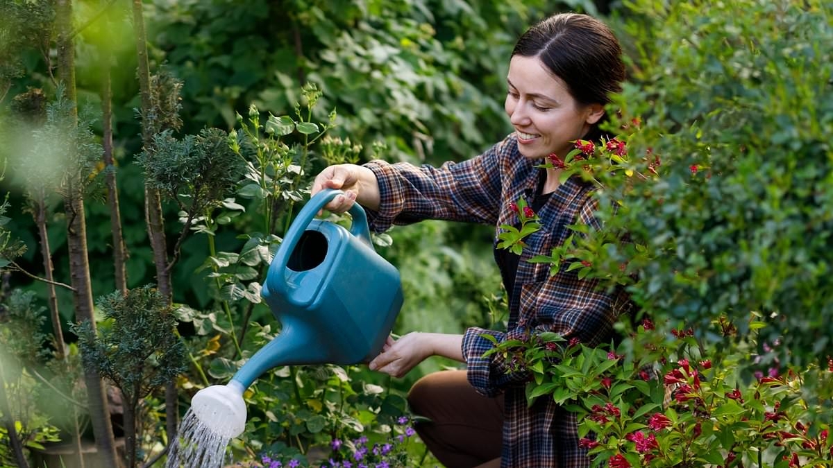 Monty Don reveals the common gardening mistake people make in May - and how to avoid it