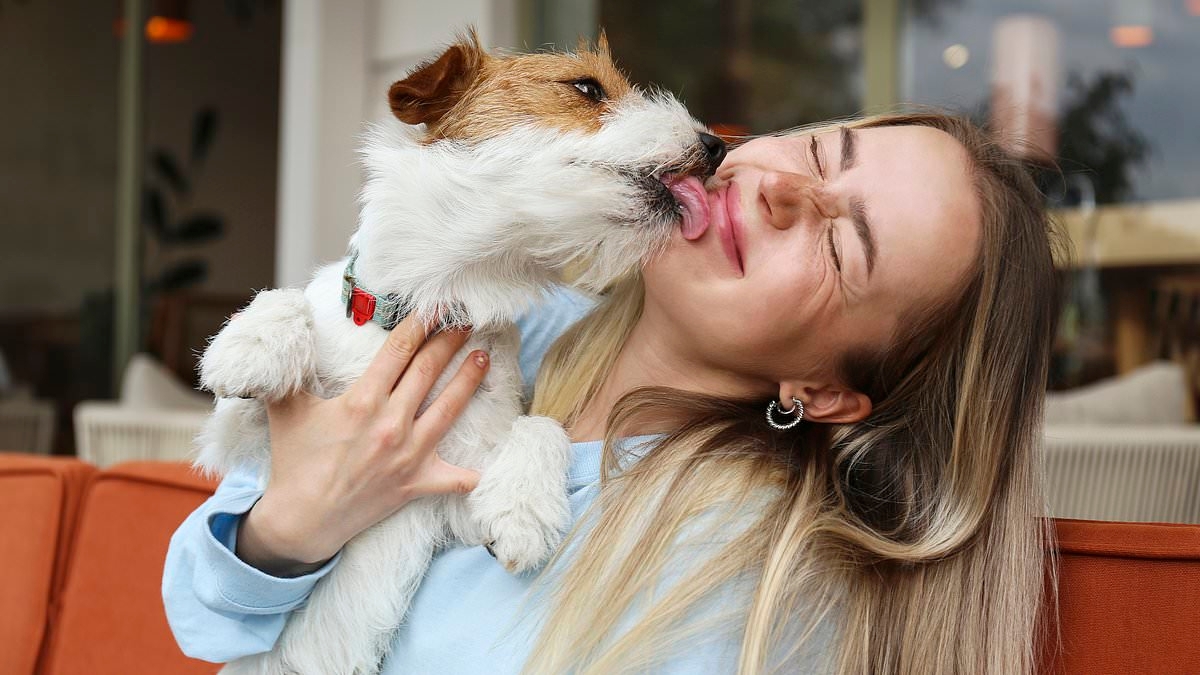 EXCLUSIVE Urgent warning to dog owners over common mistake after woman contracts horrifying parasite