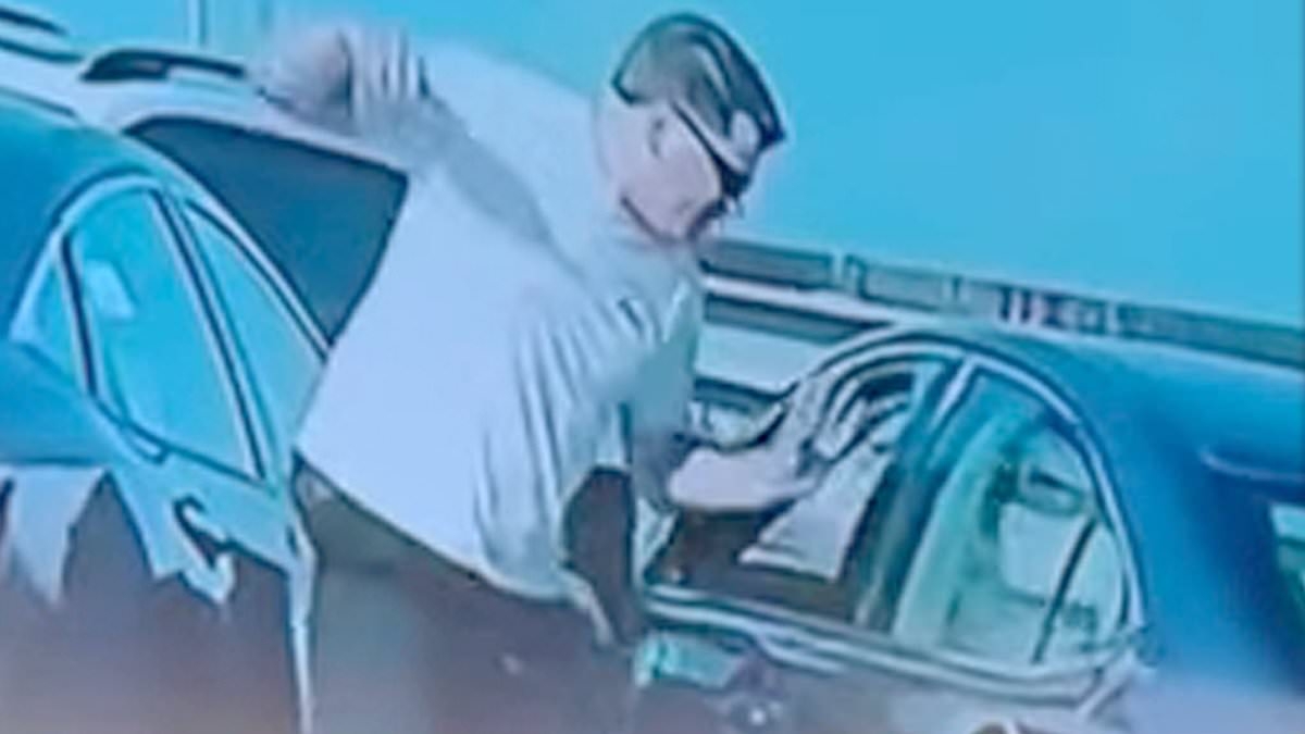 Former federal prosecutor seen smashing car window before stabbing driver reveals defense