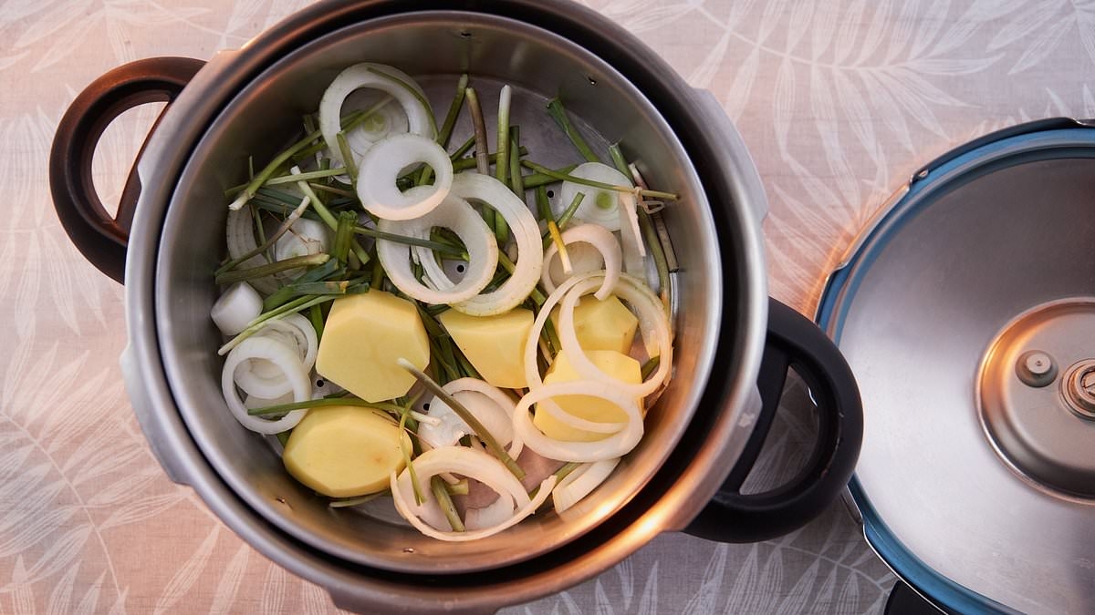 BREAKING NEWS Major tech company issues recall for nearly 2 million pressure cookers after customers suffer third degree burns