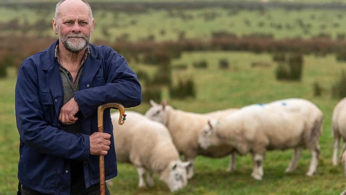 Could farms cash crisis really see cattle and sheep disappear from Scotland's fields?