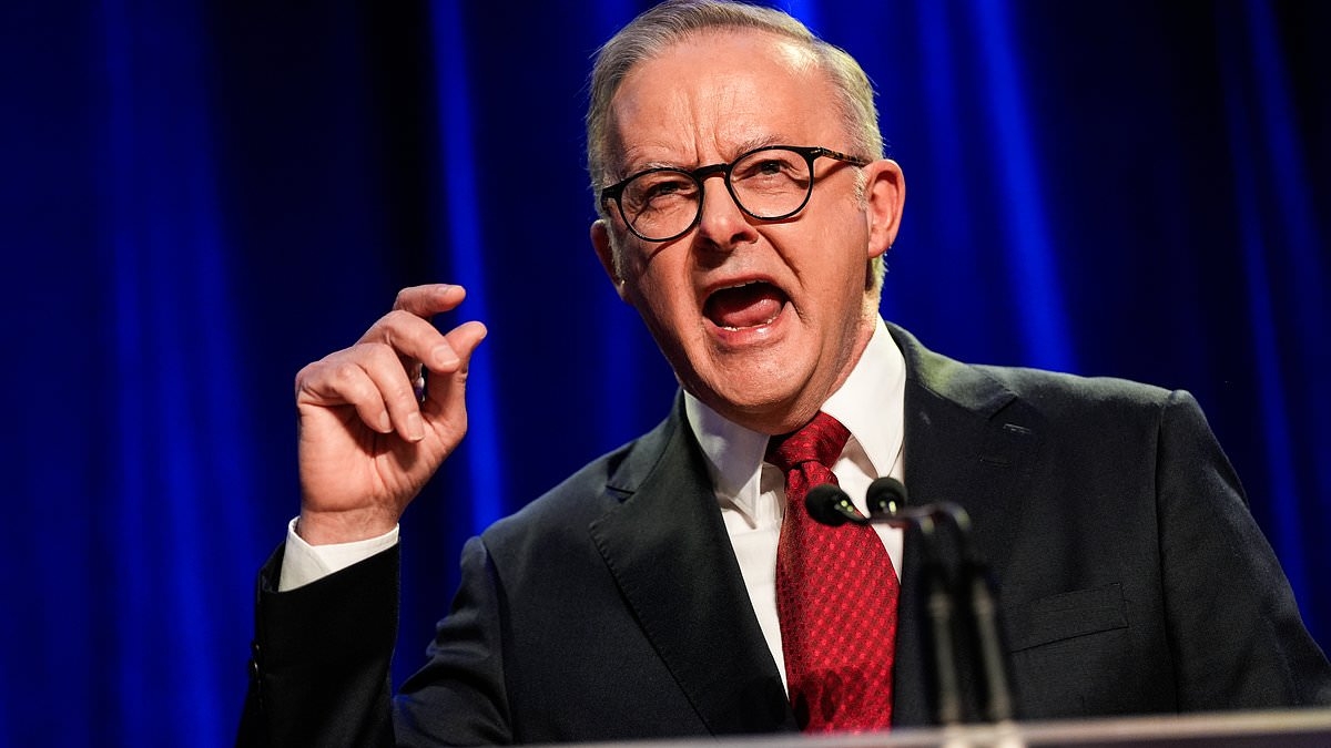 Student debt cut in Australia: When Labor will reduce your payments under landmark legislation