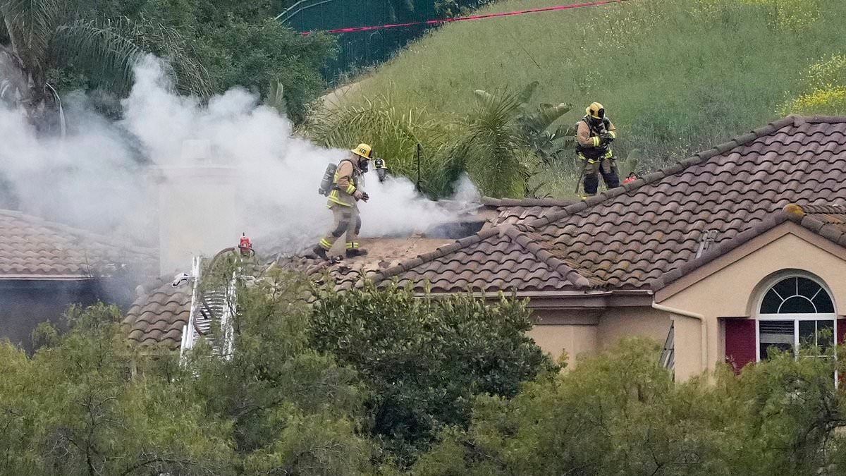 Small kit plane crashes into California homes, killing two people and a dog