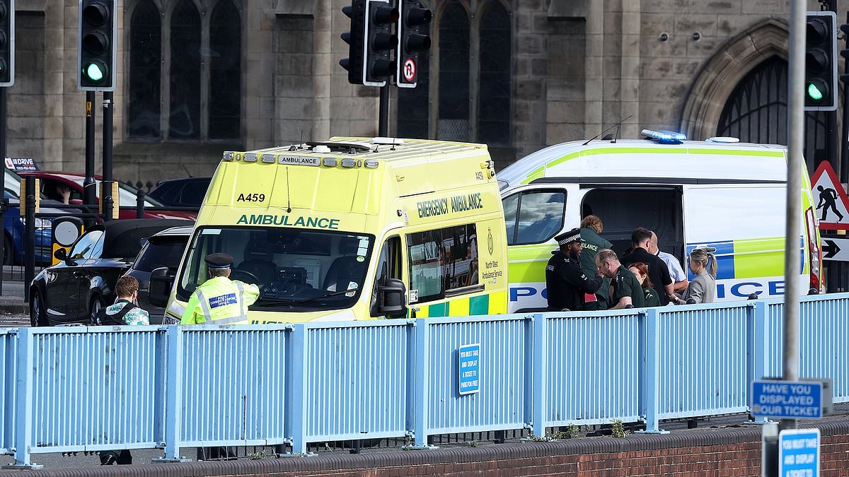 Driver 'suffering mental health episode' killed woman and injured mother and child in pram after 'deliberately' ploughing into pedestrians