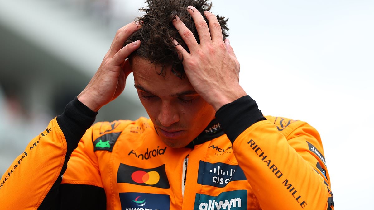 Lando Norris has to quit talking about his fragility and doubts, Damon Hill warns, writes JONATHAN MCEVOY... as McLaren title hopeful is told he is providing fuel for his rivals