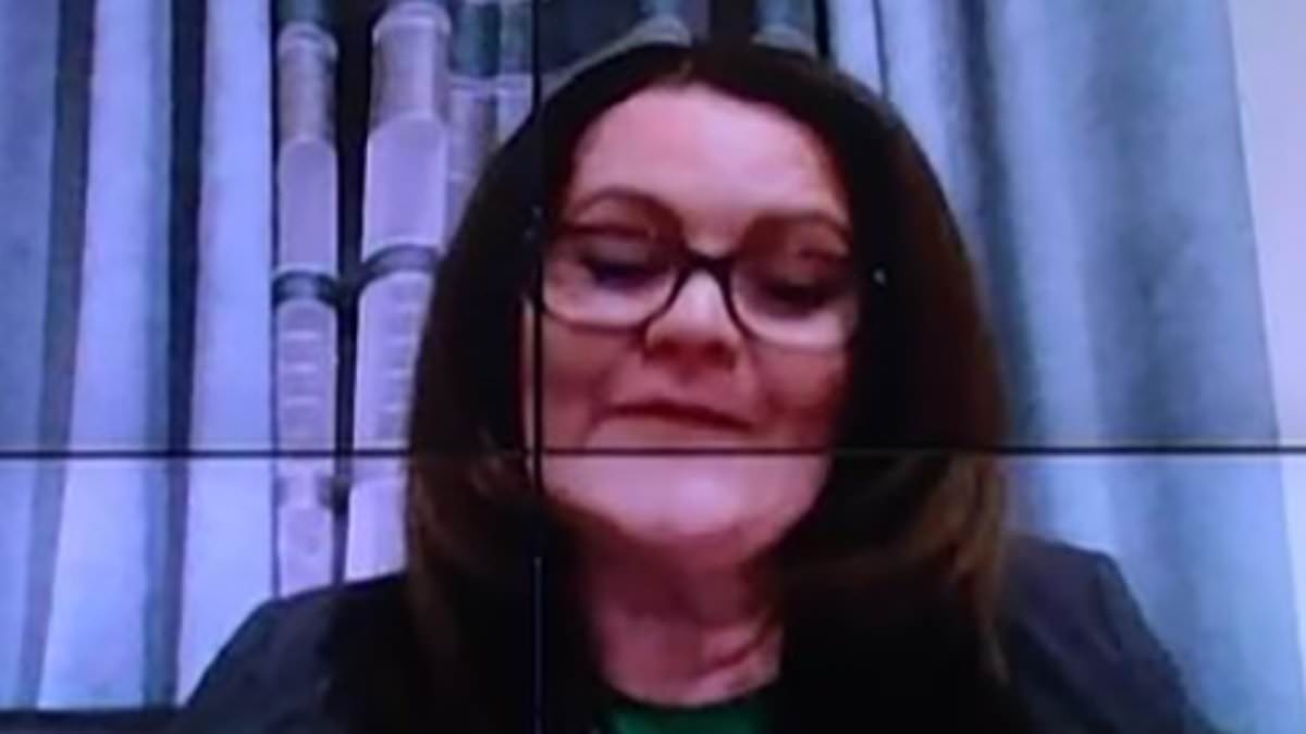 Con artist lambasts 'chaotic' UK asylum system on Albanian TV... while running scheme to defraud it