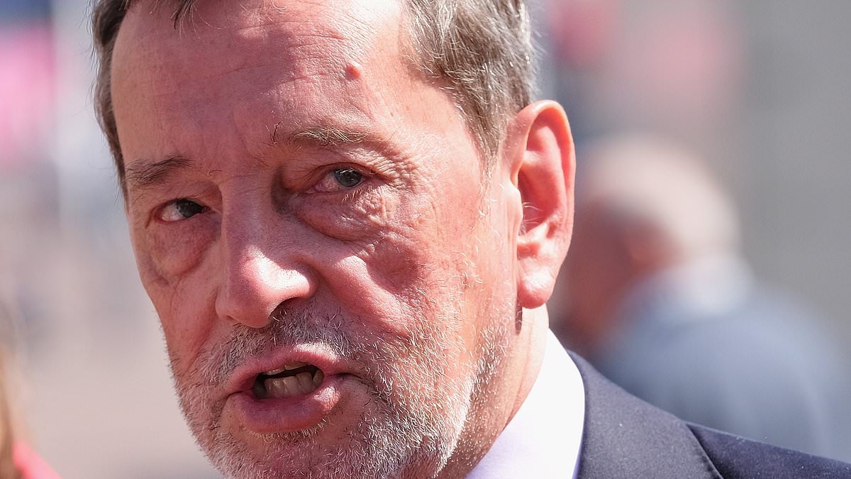 First Tony Blair and now David Blunkett: Ex-home secretary becomes the latest Labour grandee to warn against Keir Starmer's Net Zero push