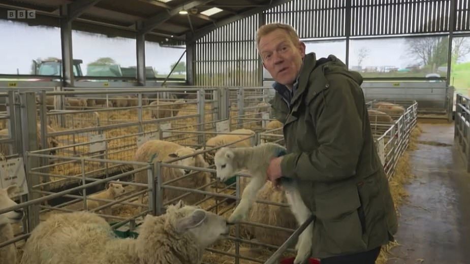 Countryfile sparks wave of complaints as farming special leaves BBC viewers furious and ‘unwell' - but who's in the wrong?