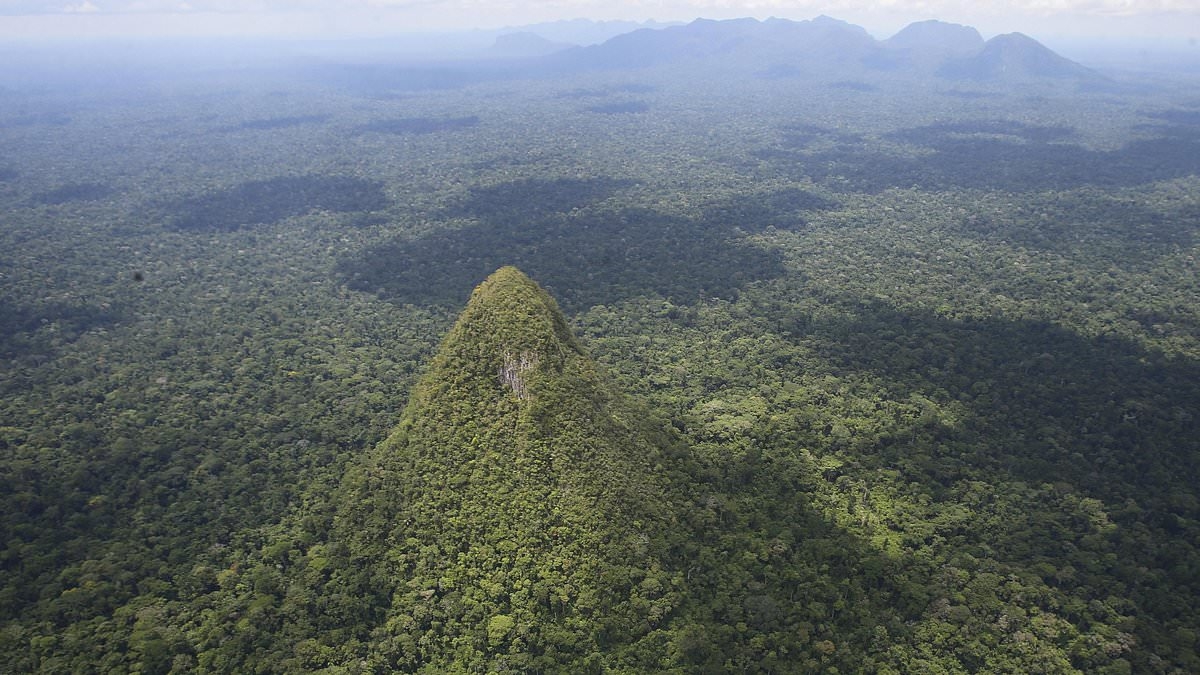 'Sacred' pyramid built by forgotten civilization in Amazon rainforest may be world's tallest ancient structure