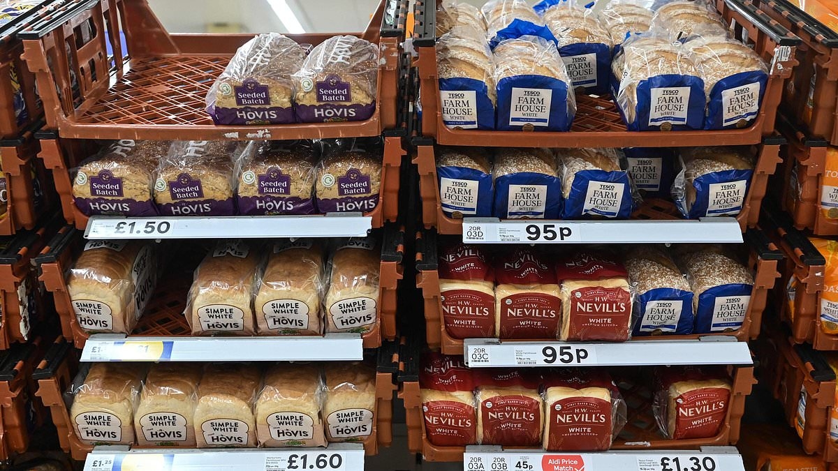 Kingsmill and Hovis owners in potential bread megamerger talks