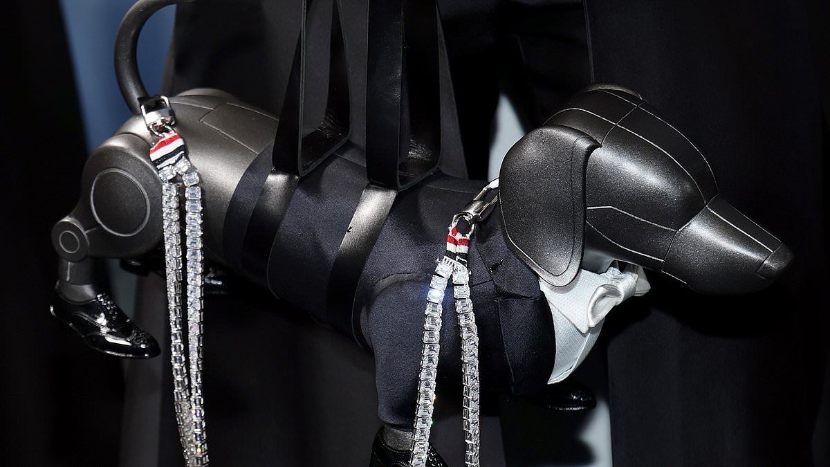 Robot DOG makes an appearance at the Met Gala - dressed in a tuxedo and adorned with a 1,000-carat diamond leash