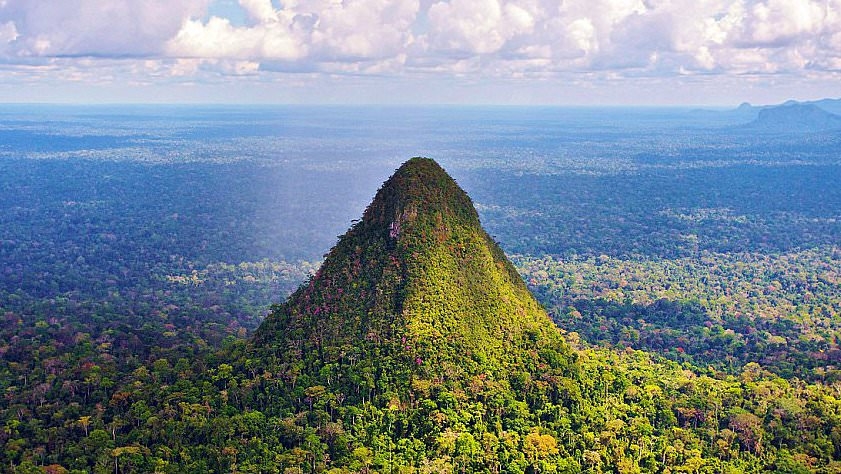 'Pyramid built by forgotten civilization' in Amazon rainforest may be the world's tallest ancient structure