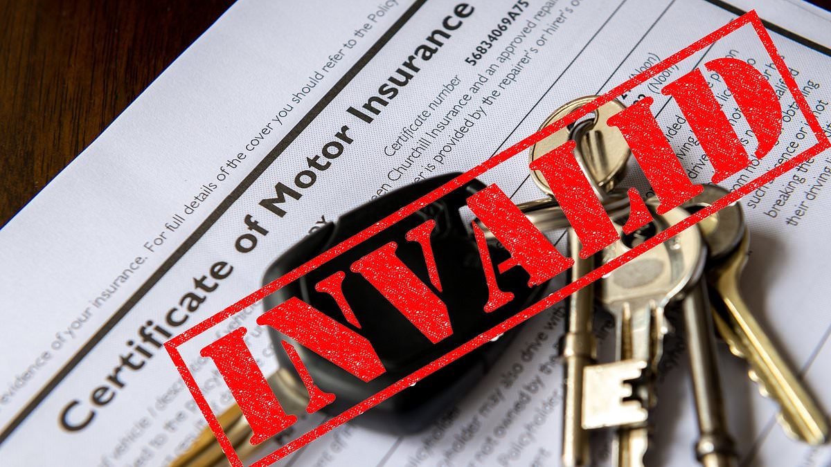Seven ways you can 'accidentally' invalidate car insurance - including a common practical accessory
