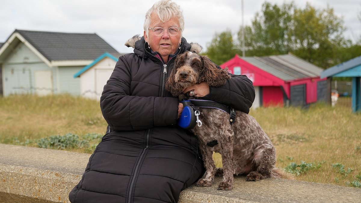 Our Norfolk beach huts are unsellable after the greedy council hiked ground rent fees. No one wants to buy them now - we've got no choice but to pay up