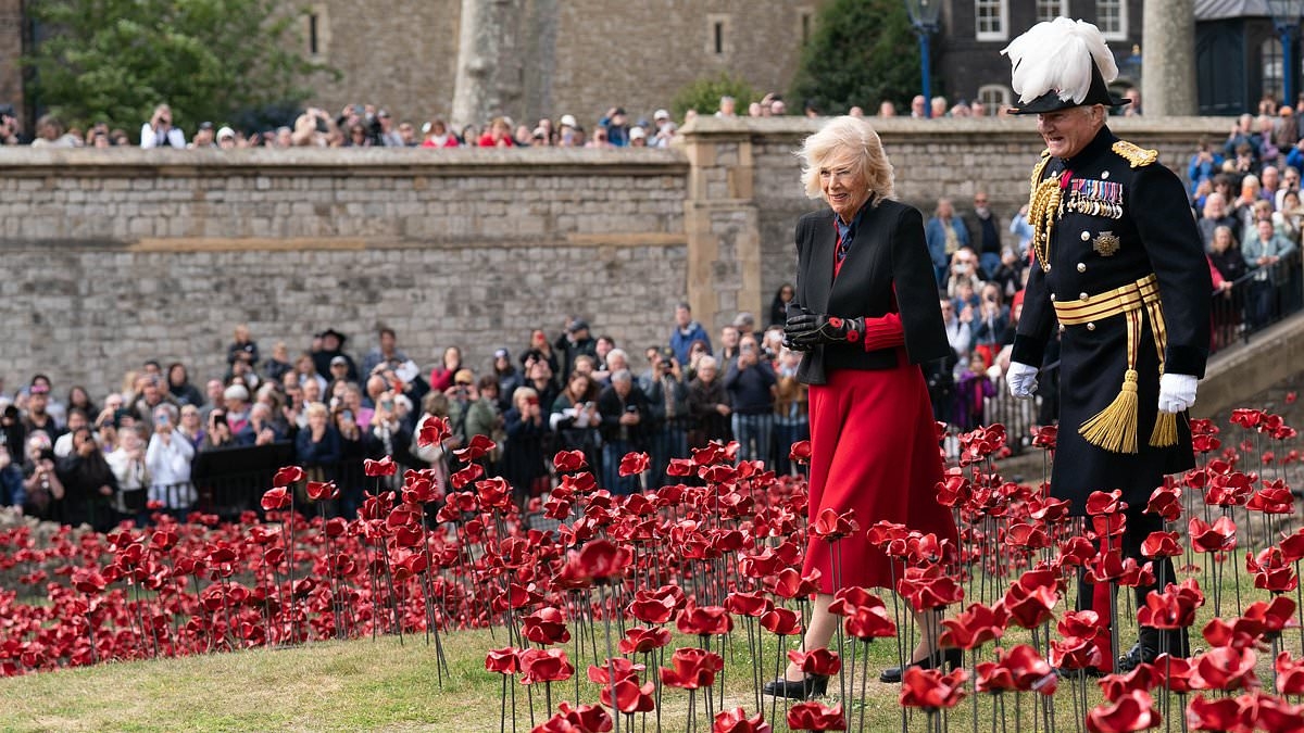 Queen Camilla dons her poppies as she walks through a sea of red and admires 30,000 ceramic flowers