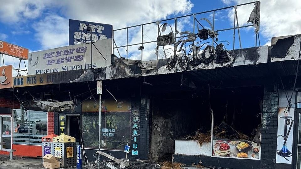 Countless fish, birds and rabbits tragically perish after flames from suspicious fire spread to pet store