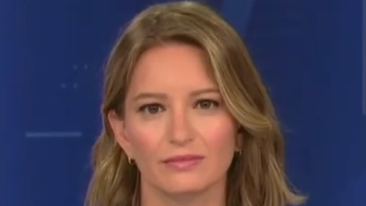 MSNBC host comments on potential US-Canada conflict