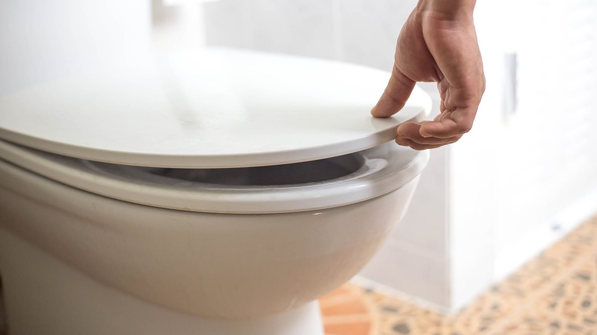 This common household item could be 75x dirtier than your toilet seat