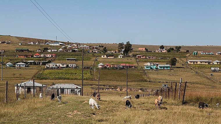 Raging 'warrior' mother 'beats rapist to death with the help of furious mob after finding her disabled daughter undressed in his house' in South Africa