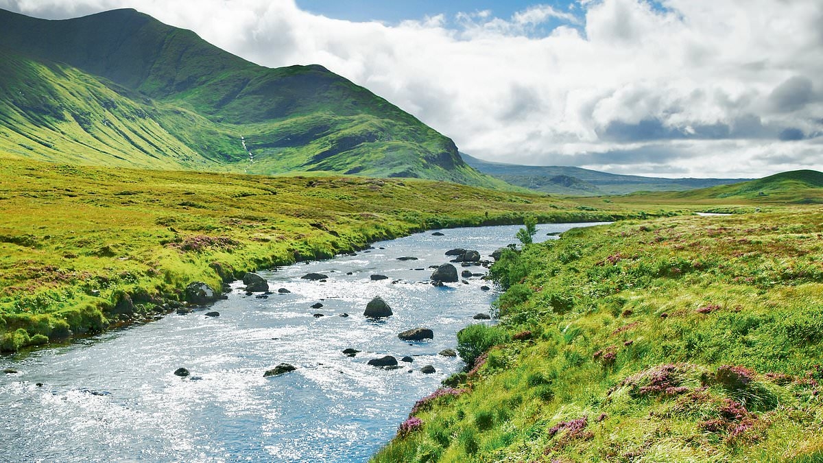 The catastrophic extent of Britain's river problem: ‘Undrinkable, unswimmable, and now untouchable', says nature expert ROBERT MACFARLANE