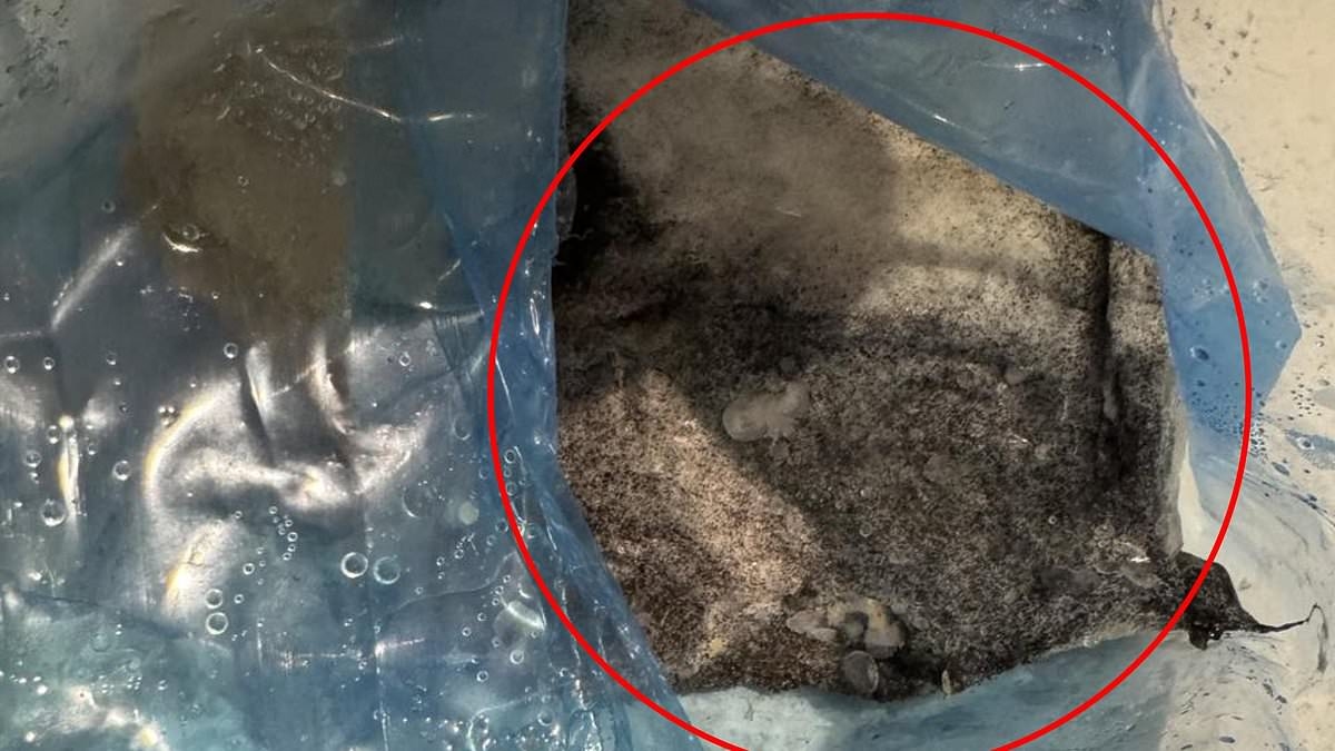 Major supermarket offers no answers after Aussie mum's rotten grocery find
