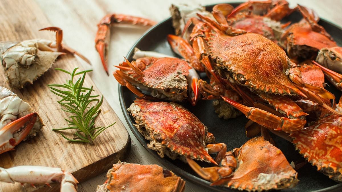 Food lover sparks outrage with 'horrifying' video after cooking crabs ALIVE for a seafood boil