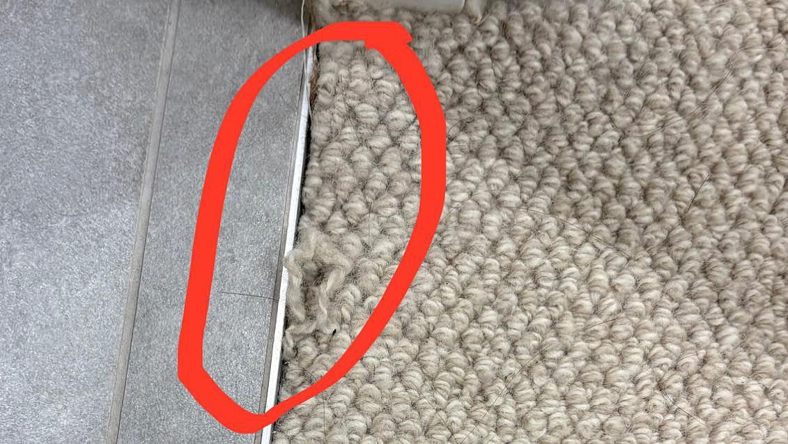 Renter locked in bitter feud with their landlord after forking out $1,260 to clean the carpets TWICE - and they STILL lost some of their bond