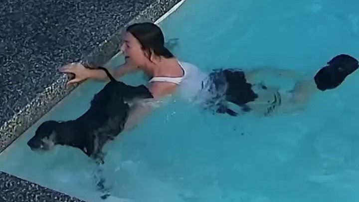 Heart-stopping moment dog owner jumps into pool to save clumsy pooch TWICE: 'No survival instincts'