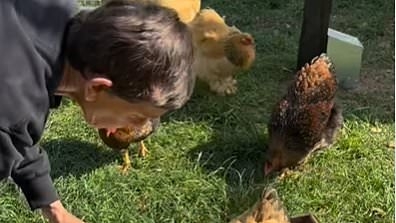 Ellen DeGeneres shows off her new look and shares a glimpse into farm life as she gardens and feeds chickens after moving to the English countryside