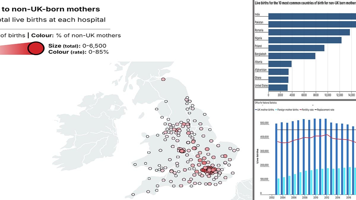 EXCLUSIVE Revealed: The hospitals where nearly nine out of ten babies are being born to non-British mothers