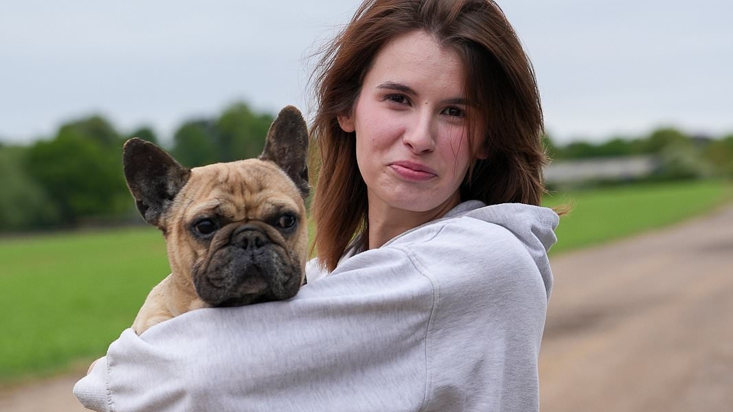 Firefighters and a JCB digger shift five tons of earth to save Moose the French bulldog after he got trapped in underground drainage pipe