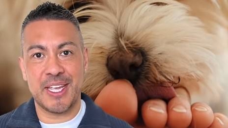 Vet reveals what it REALLY means if your dog tries to lick your feet